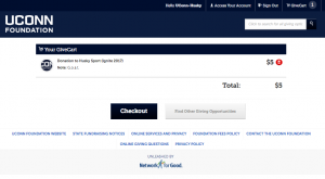 Image of checkout page
